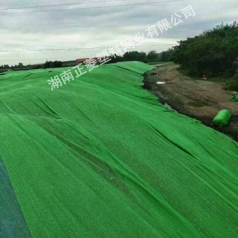 湖南長沙市青竹湖街道湘粵安置小區(qū)旁新建市場蓋土實(shí)景